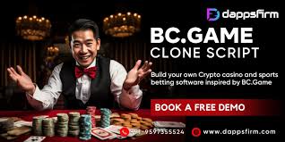 Testimonials, opinions and comments about BC video game